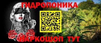 гидропоника Славгород
