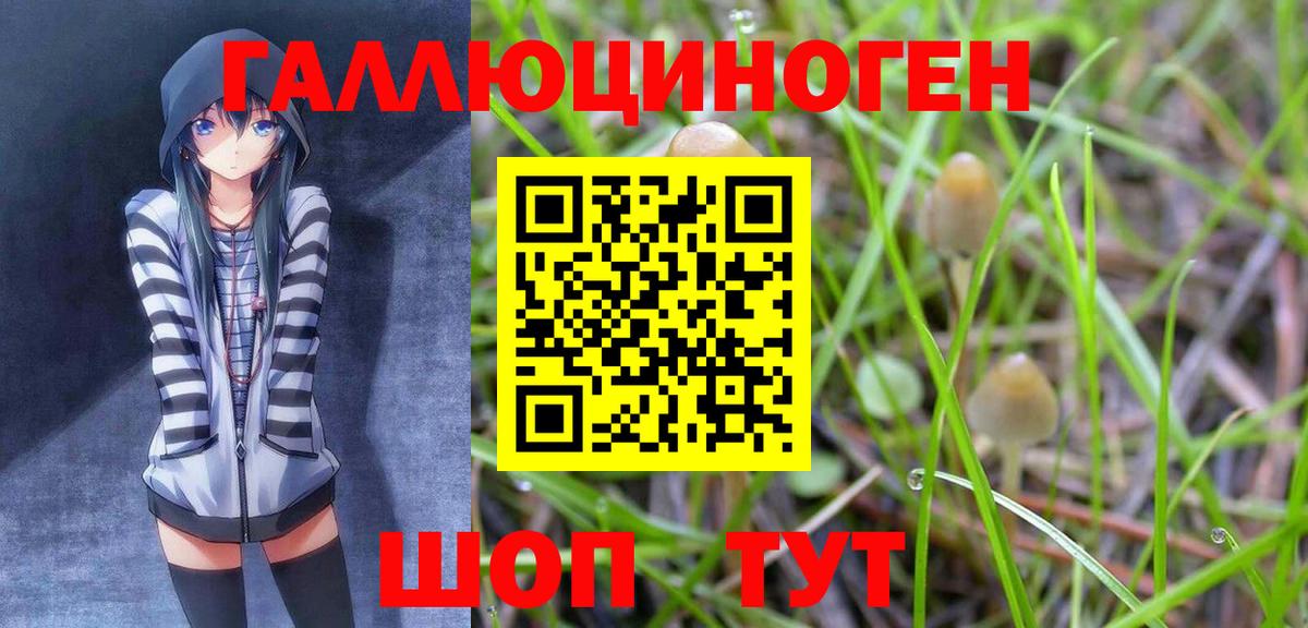 наркотики  Вход с VPN  Ртищево  Галлюциногенные грибы мицелий 